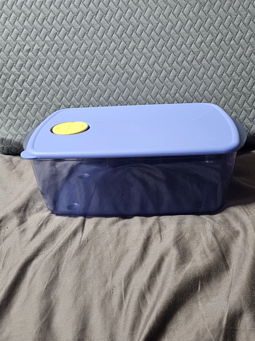 Tupperware Periwinkle Plastic Storage Container with Yellow Vent Lid